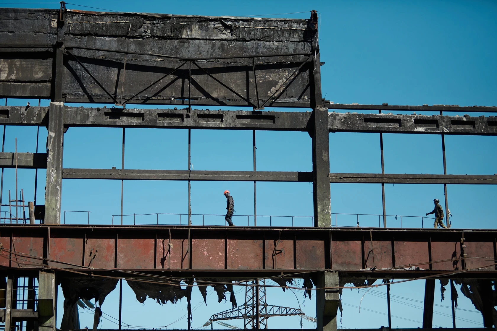 Fight For Light online gallery