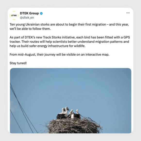 Track storks