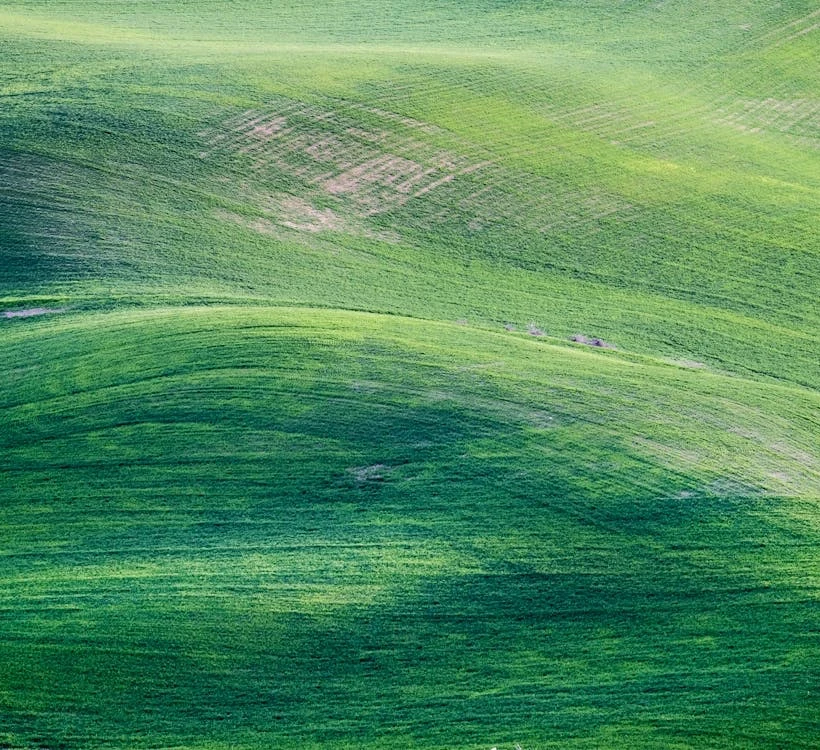 Біорізноманіття