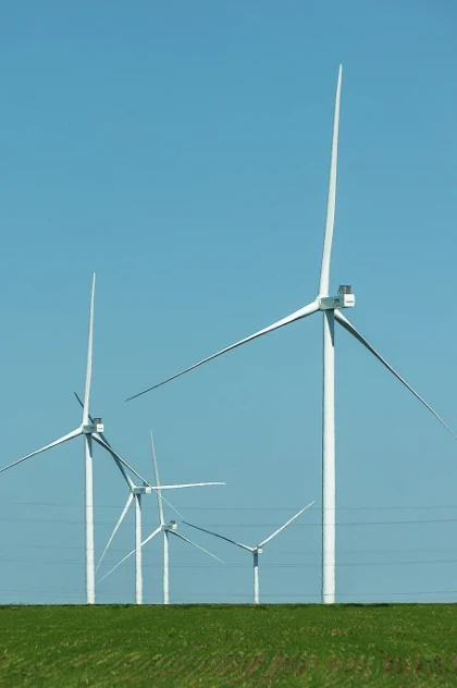 Environmental stewardship