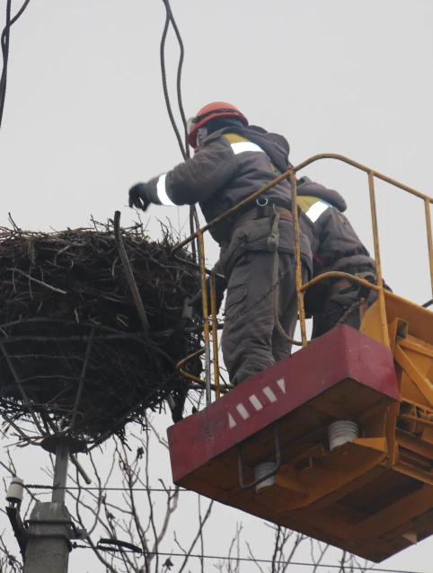 Track storks