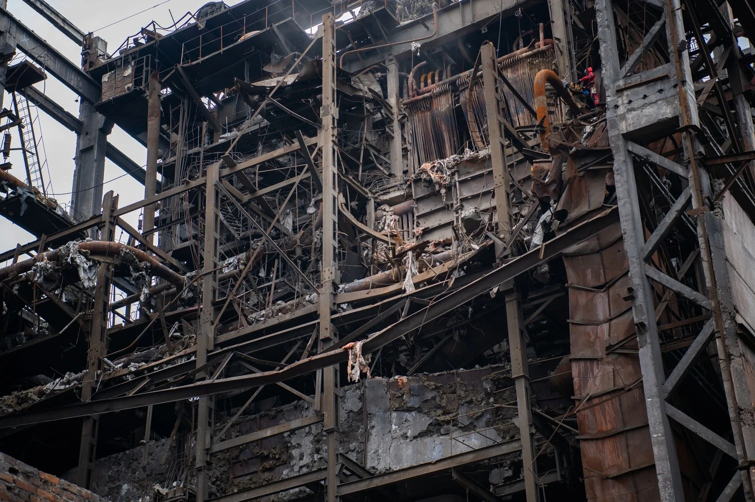 Fight For Light online gallery