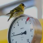 Мінімізація нашого<br> впливу