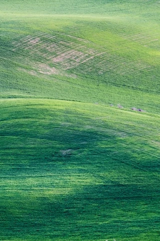 Біорізно-<br> маніття