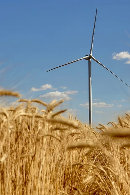 The first large wind farm built during war