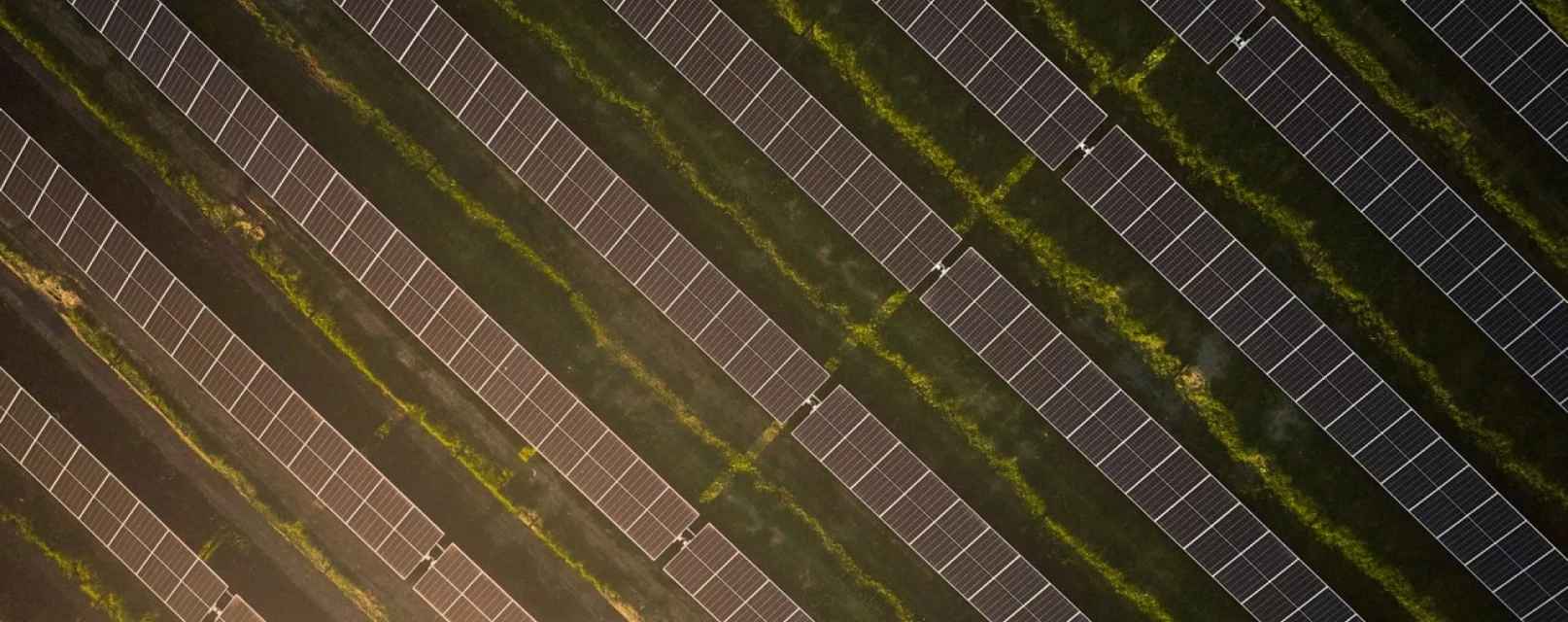 Наш  бізнес