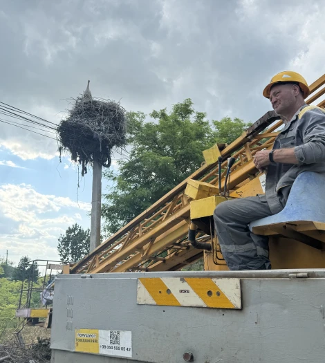Track storks