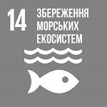 Сталий Розвиток / Звітність / ESG-звіт 2020