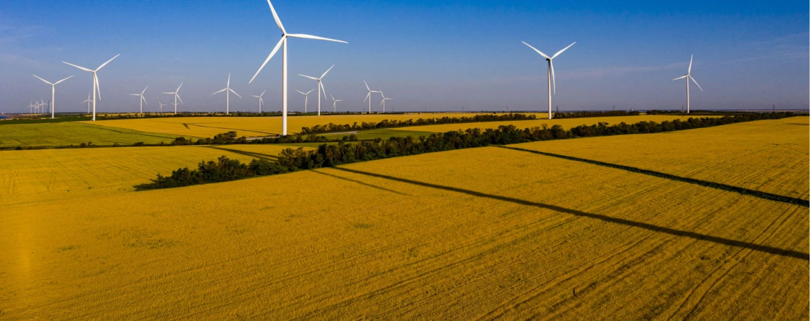 Інвесторам та партнерам