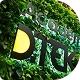 Academy DTEK