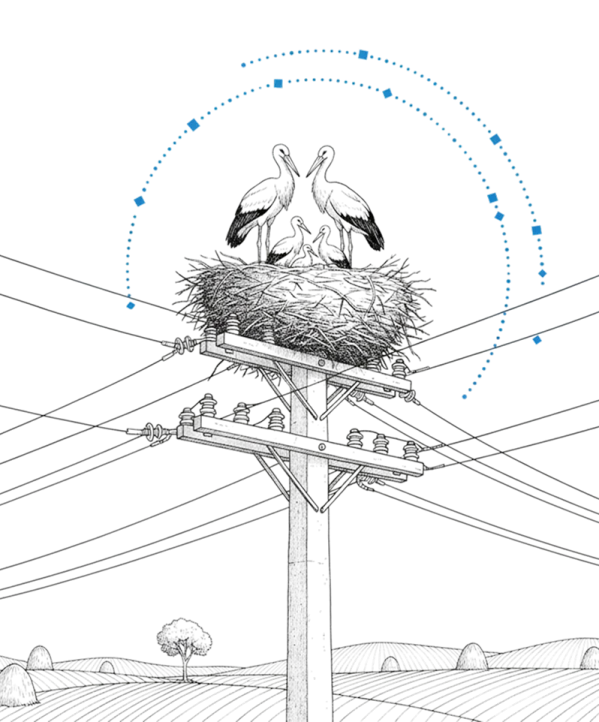Track storks