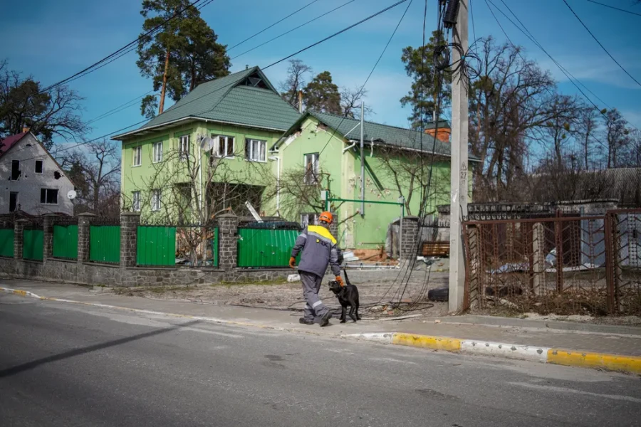 DTEK Grids, repairing grids, worker
