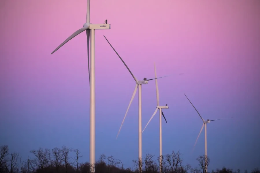 Tyligulska Wind Power Plant, wind farm
