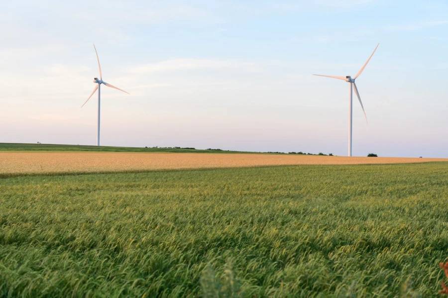 DTEK Renewables, Solar Power Plants (SPP)