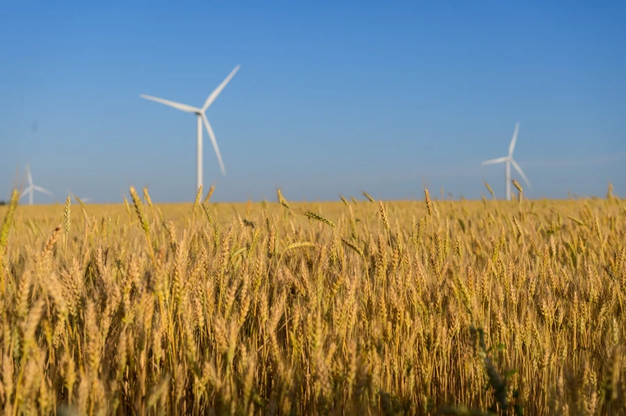 DTEK Renewables, Solar Power Plants (SPP)