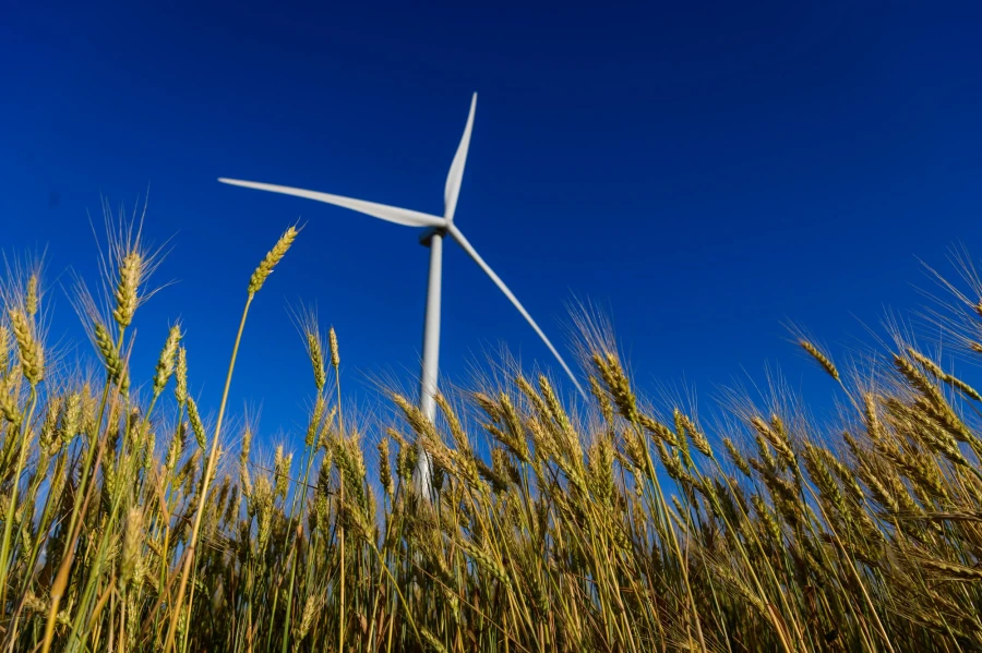 DTEK Renewables, Solar Power Plants (SPP)