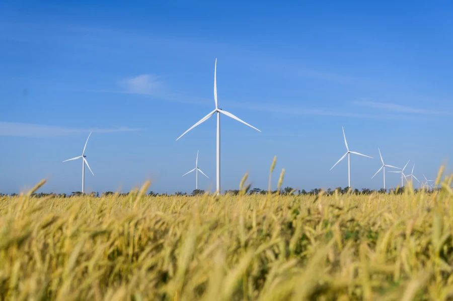 DTEK Renewables, Solar Power Plants (SPP)