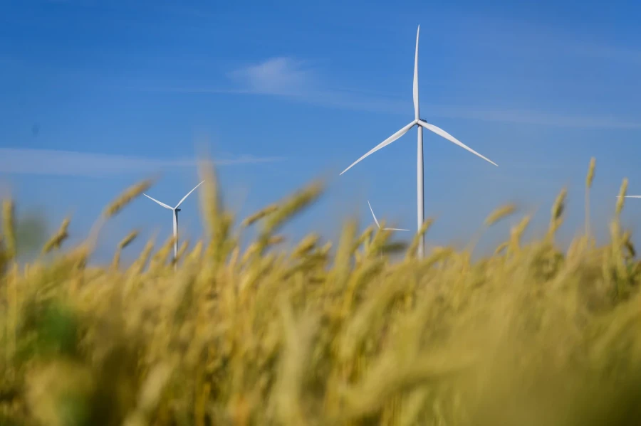 DTEK Renewables, Solar Power Plants (SPP)