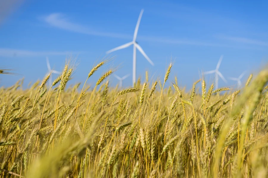 DTEK Renewables, Solar Power Plants (SPP)