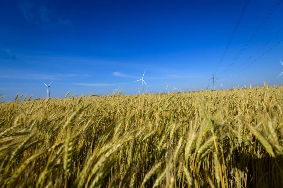 DTEK Renewables, Solar Power Plants (SPP)