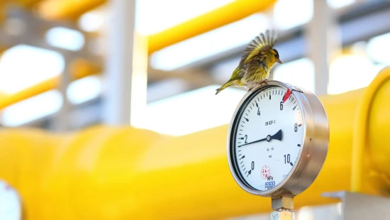 DTEK Oil&Gas / DTEK Oil&Gas, production facilities