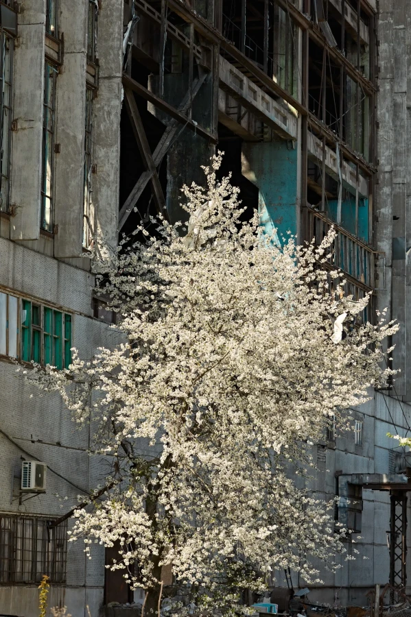 Damage at one of DTEK thermal power plant following a russian assault, spring 2024. The precise location and date are not disclosed due to security restrictions