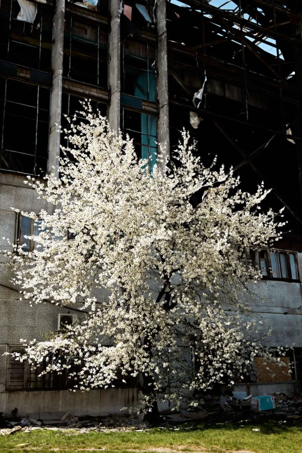 Damage at one of DTEK thermal power plant following a russian assault, spring 2024. The precise location and date are not disclosed due to security restrictions