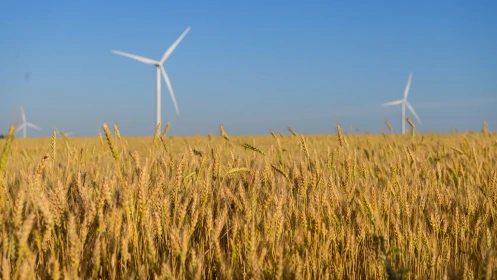 Image library / Wind generation DTEK