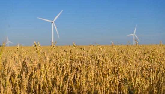 Image library / Wind generation DTEK