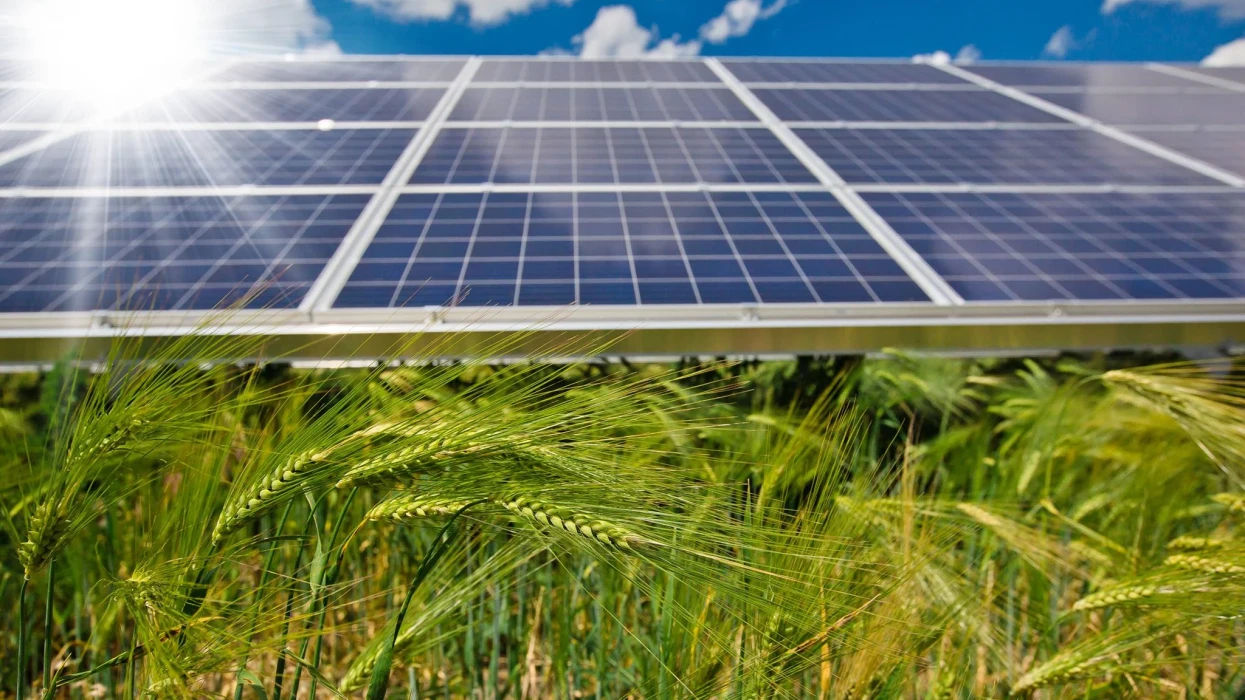 DTEK has joined the Climate Bonds Initiative Partners Program