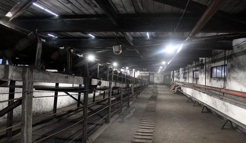 DTEK Dobropilska CEP Saves 85% of Energy on Lighting