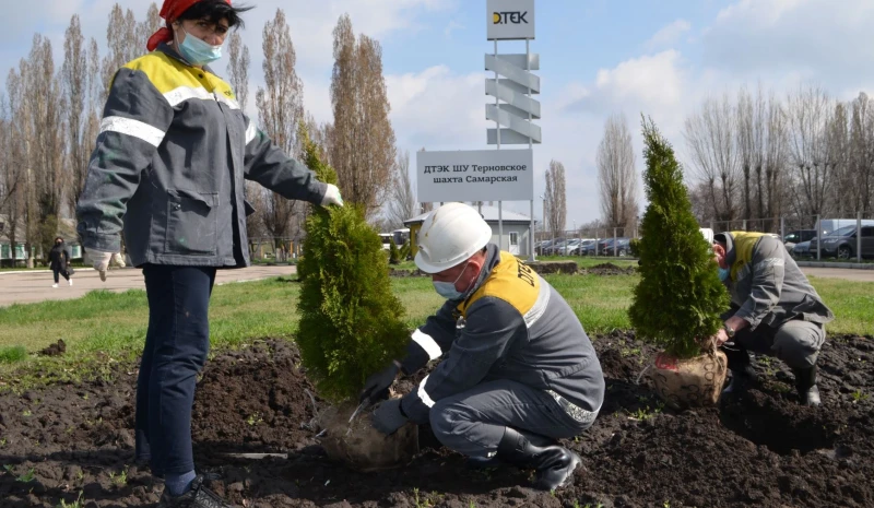 Шахтарі Західного Донбасу зробили світ навколо себе чистішим та зеленішим