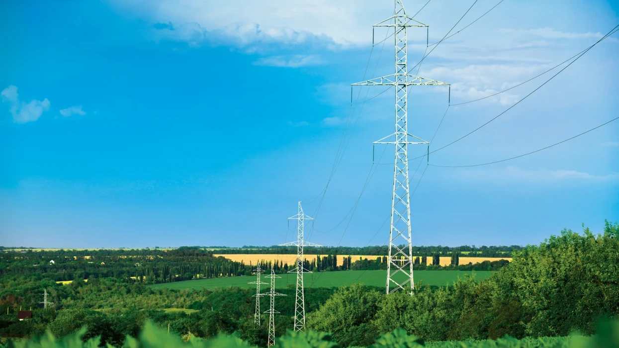 ОСР ДТЕК Мережі дбають про захист навколишнього середовища