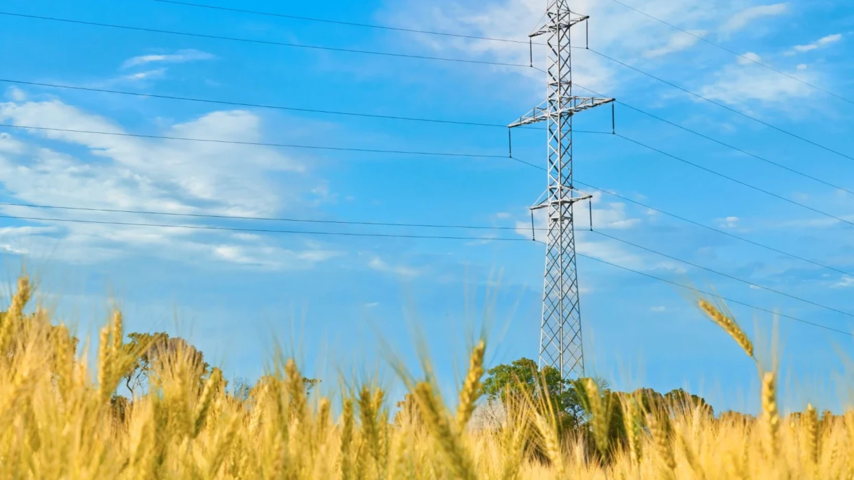 Simple Connections: DTEK Grids, in cooperation with the Ministry of Digital Transformation, has improved its online service for connection to the power grids