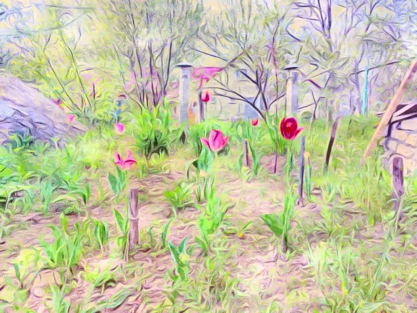 «Тюльпани чекають твоїх дбайливих рук»