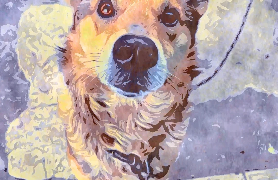 «Передавай привіт тату і почухай за вушком нашого песика»