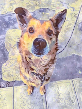 «Передавай привіт тату і почухай за вушком нашого песика»