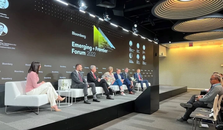 Ukraine can become the main exporter of clean energy to the EU, Timchenko says at the Bloomberg conference