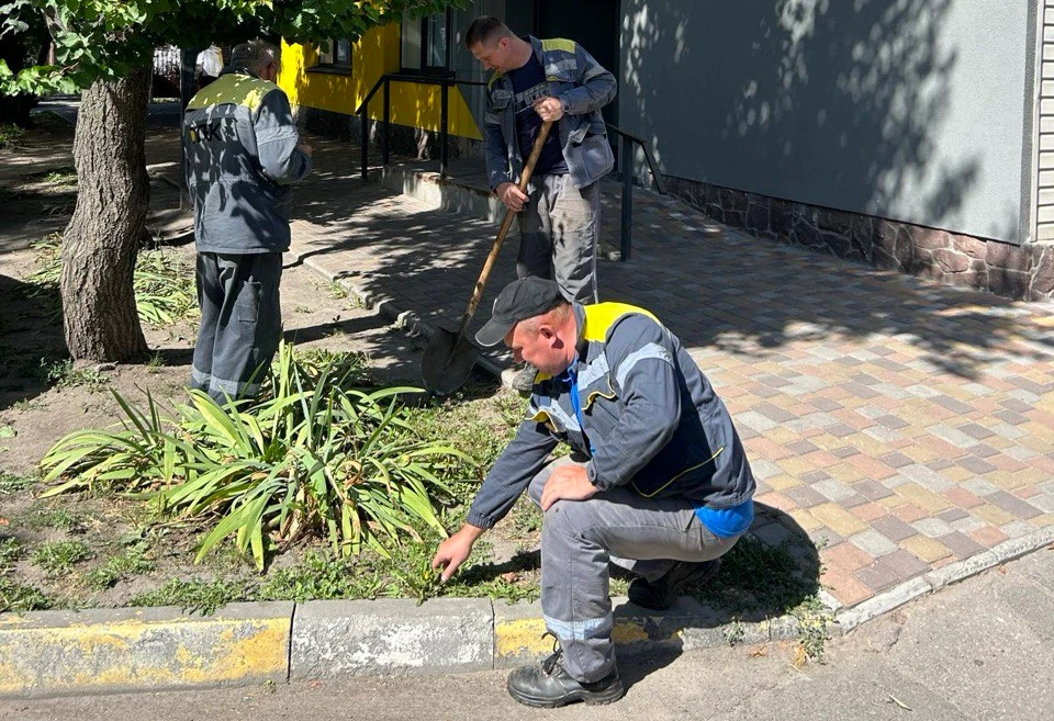 DTEK Grids energy workers joined the World Cleanup Day