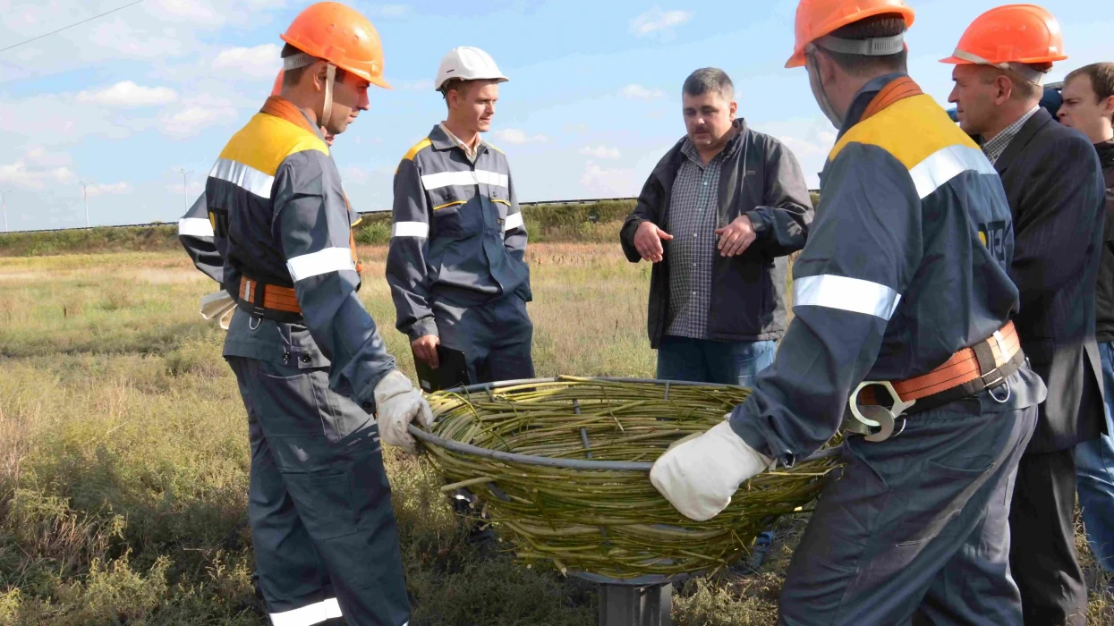 #Лелеченьки: енергетики ДТЕК Мережі укріплять понад 70 гнізд лелек на електроопорах