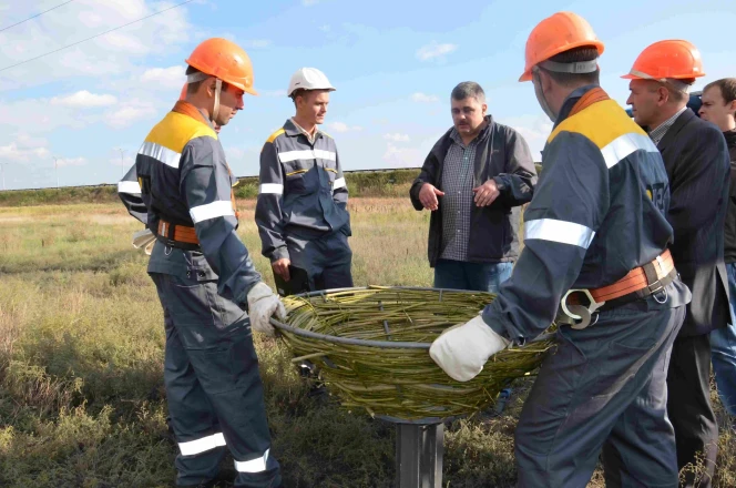 #Лелеченьки: енергетики ДТЕК Мережі укріплять понад 70 гнізд лелек на електроопорах