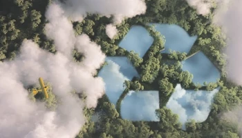 Net-zero emissions: understanding what, when, and how