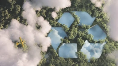 Net-zero emissions: understanding what, when, and how