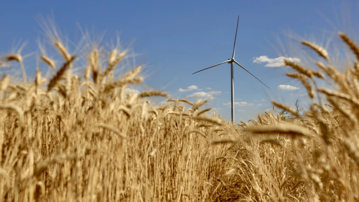 "Ukraine is Europe's energy sleeping giant" - DTEK CEO Maxim Timchenko in L'Express