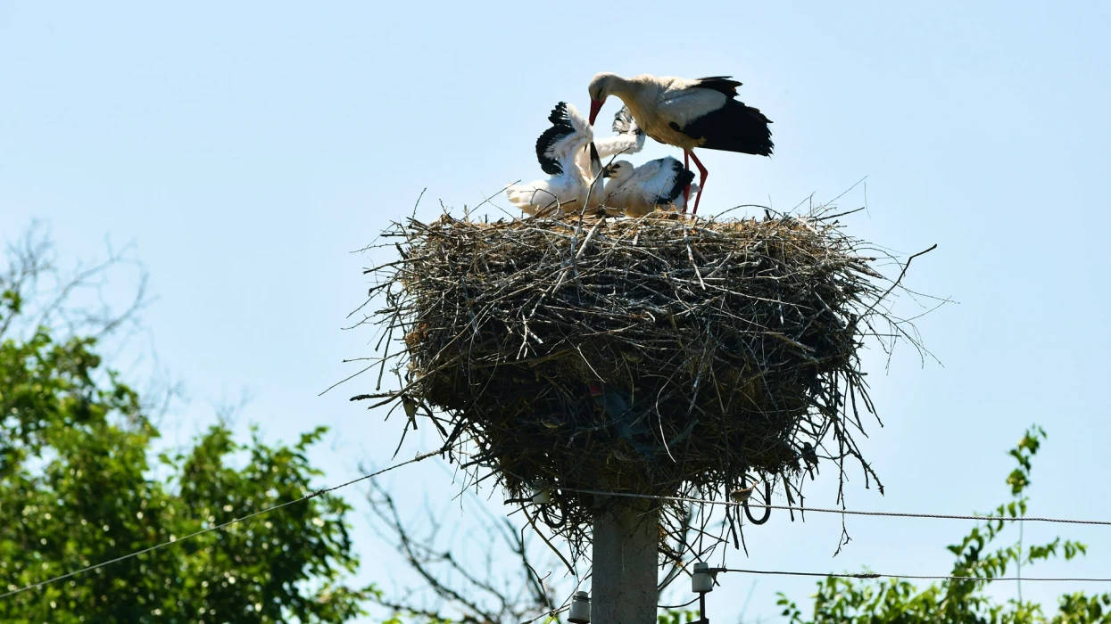 DTEK enhances environmental action in first half of 2025