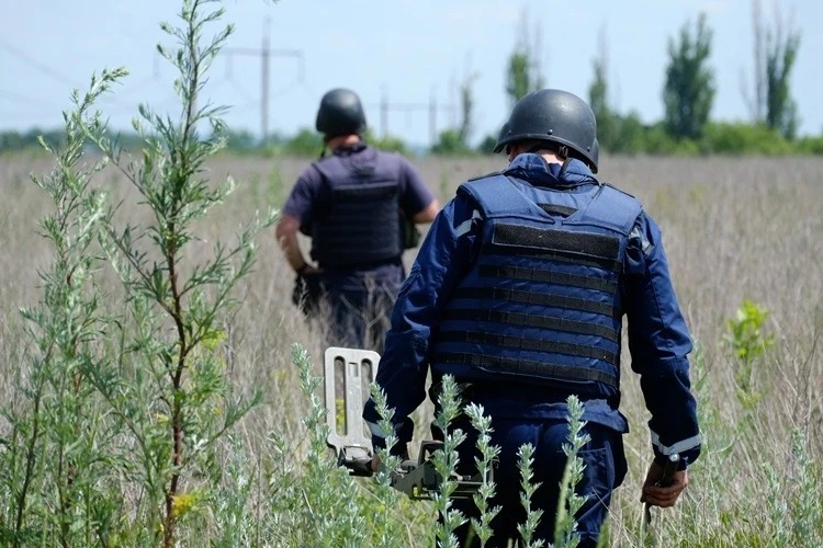 1,5 місяці роботи в «сірій» зоні: енергетики повернули світло у 800 будинків Бахмутського району