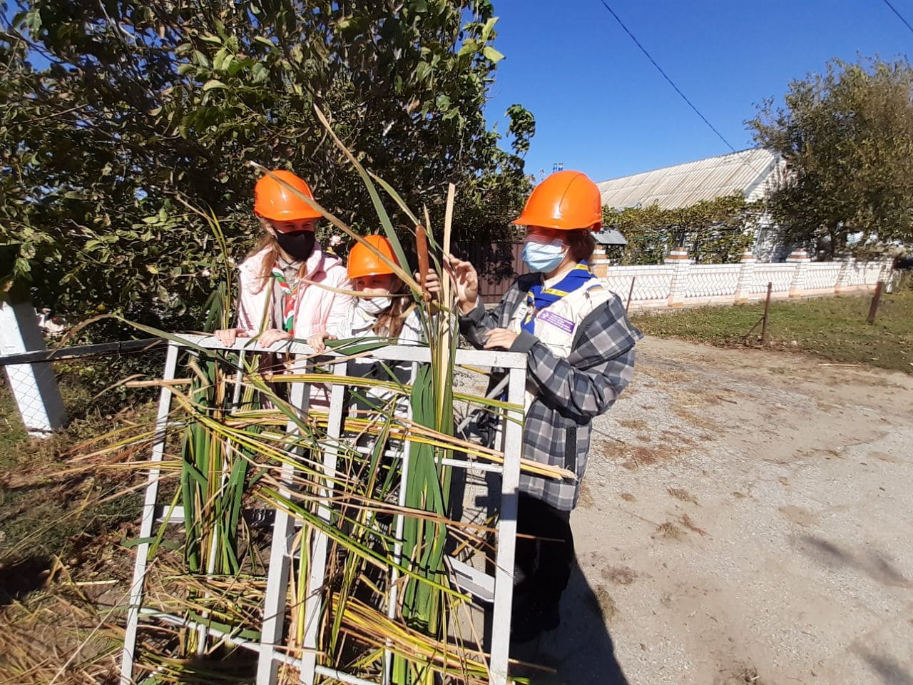 Лелеченьки, ДТЕК, ДТЕК МЕРЕЖІ, ДТЭК Сети, аисты, устойчивое развитие, спасение аистов, birdwatching, DTEK