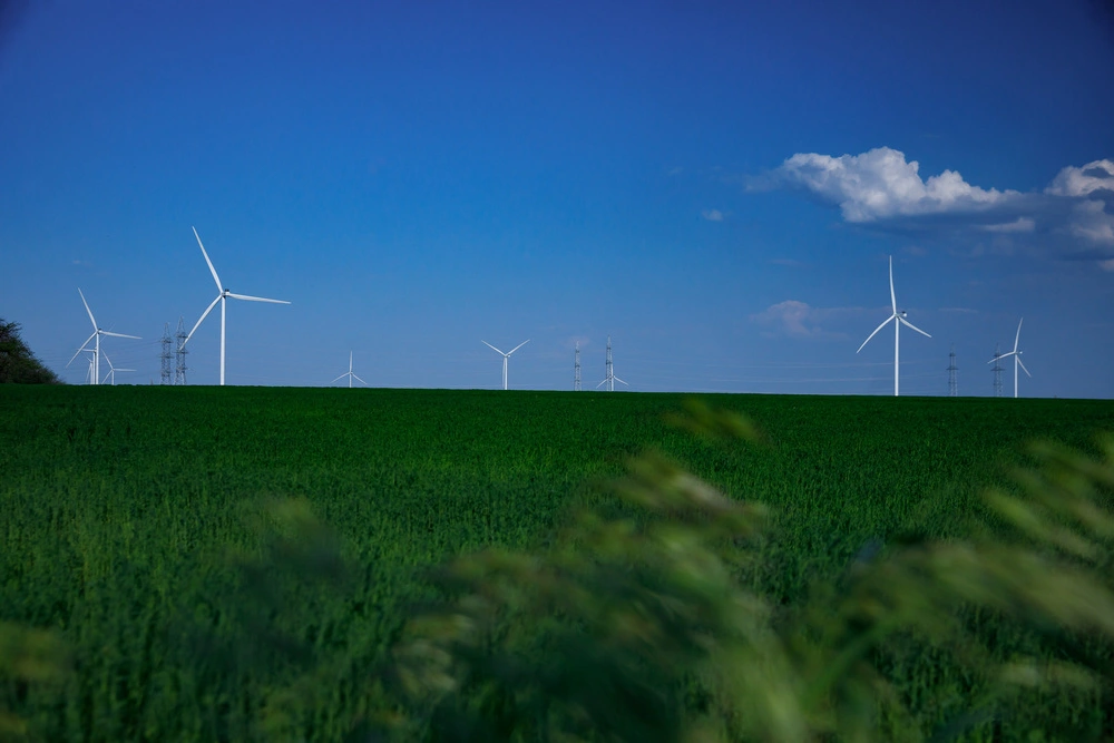 DTEK Tyligulska Wind Power Plant, renewable energy sector