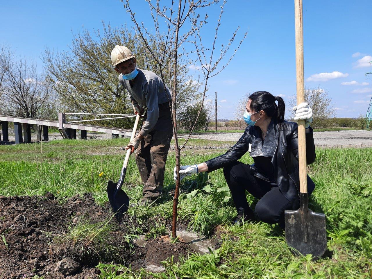 Шахтарі Західного Донбасу зробили світ навколо себе чистішим та зеленішим. Зображення 1