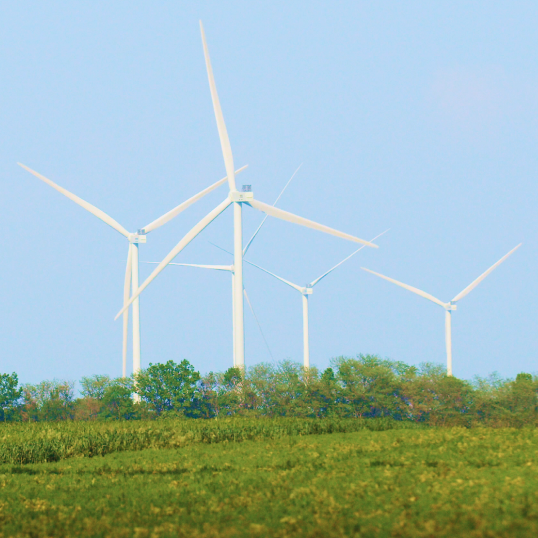 DTEK, Wind farm, Tiligulska WPP, field, windmill, grass